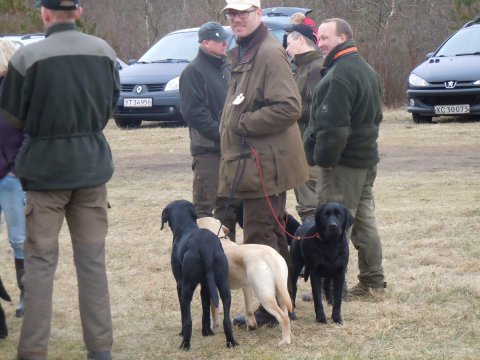 Boye med Fire,Benn og Gunner